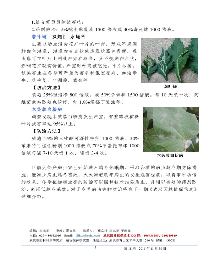 武汉园林植保信息2015年第11期