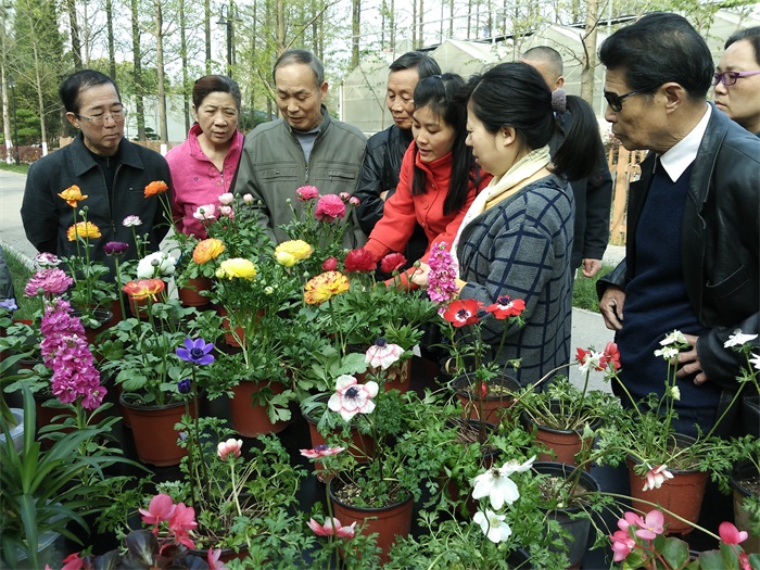 我所新优花卉超市开业，市民享优惠购买新优盆花