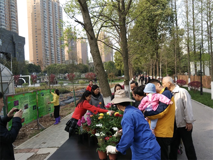 我所新优花卉超市开业，市民享优惠购买新优盆花