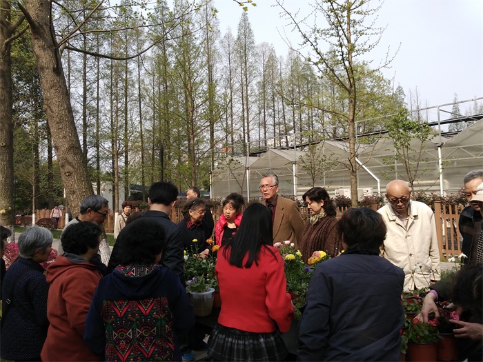我所新优花卉超市开业，市民享优惠购买新优盆花