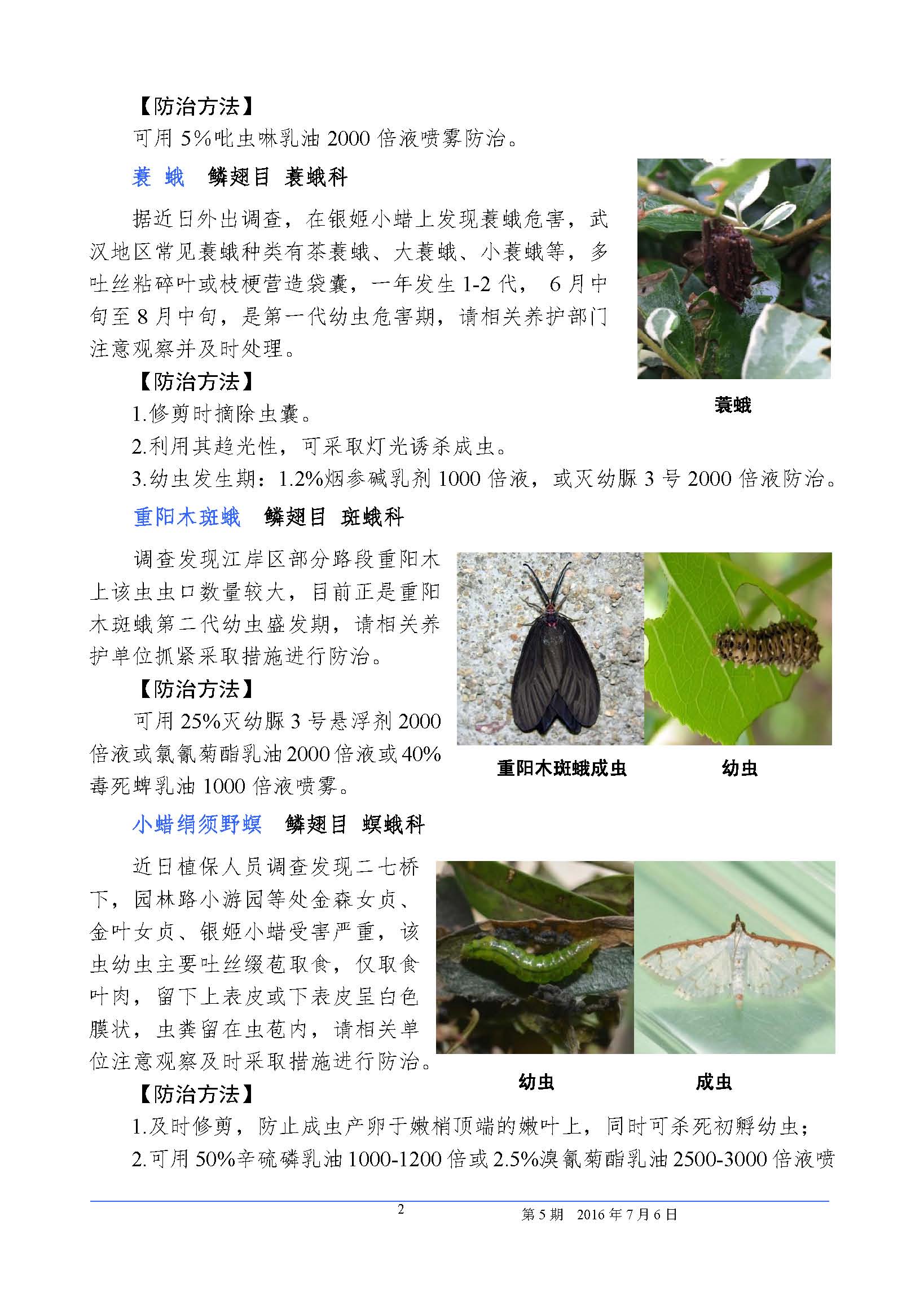 武汉园林植保信息2016年第5期