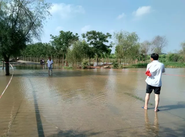 众志成城，鏖战洪灾，市园林科学研究所打响中试基地抗洪救灾保卫战！