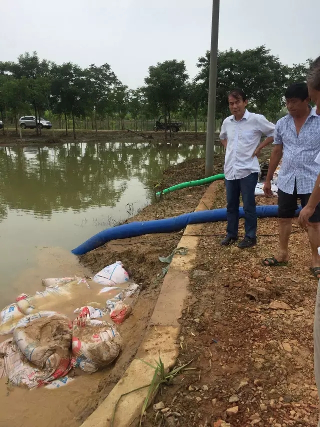 众志成城，鏖战洪灾，市园林科学研究所打响中试基地抗洪救灾保卫战！