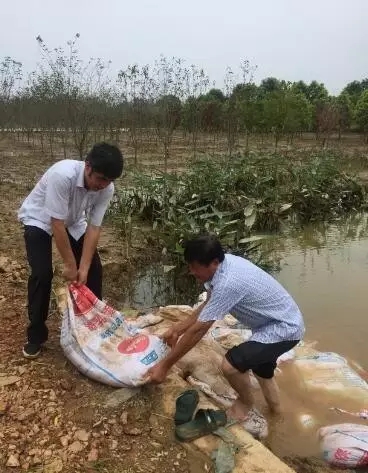 众志成城，鏖战洪灾，市园林科学研究所打响中试基地抗洪救灾保卫战！