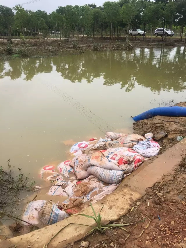 众志成城，鏖战洪灾，市园林科学研究所打响中试基地抗洪救灾保卫战！