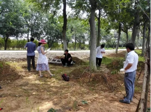 众志成城，鏖战洪灾，市园林科学研究所打响中试基地抗洪救灾保卫战！