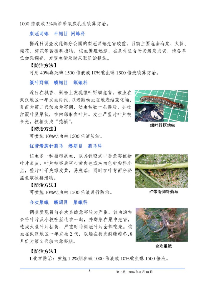 武汉园林植保信息2016年第7期