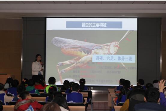 “走进微观世界”系列大课堂之“玻璃瓶里的植物秘密”、“有趣的昆虫嘴巴” ------记武汉市园林科研所2016市民园林学校第4期活动