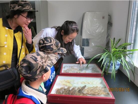 “看标本,认花卉” ――科普公园开展公园大课堂活动