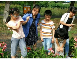“植物导师课”第二季开学啦！