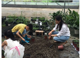 “植物导师课”第二季开学啦！