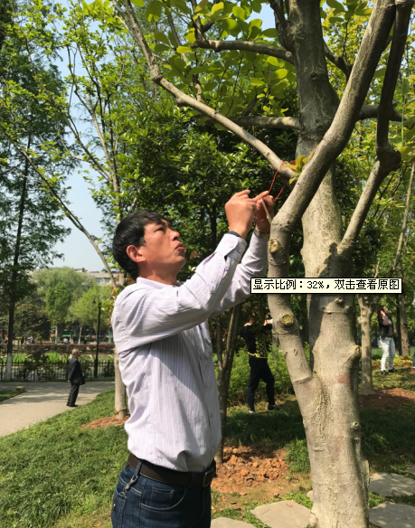 “聚力科研 培育新优” ――市园林科学研究所支部主题党日活动