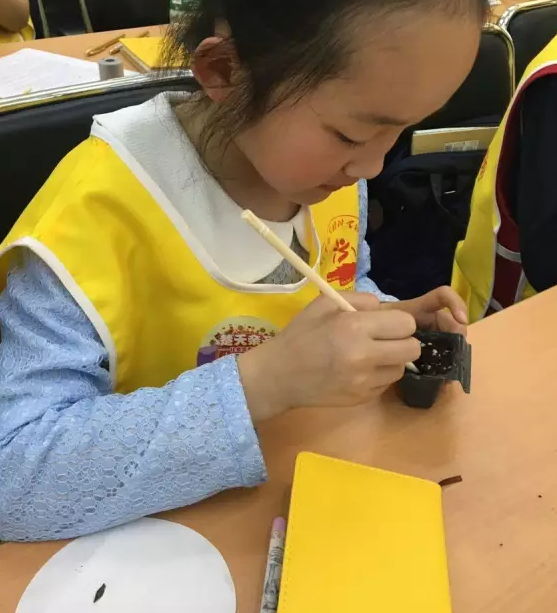探秘植物的种子 ――记武汉市园林科研所市民园林学校2017年第2期活动