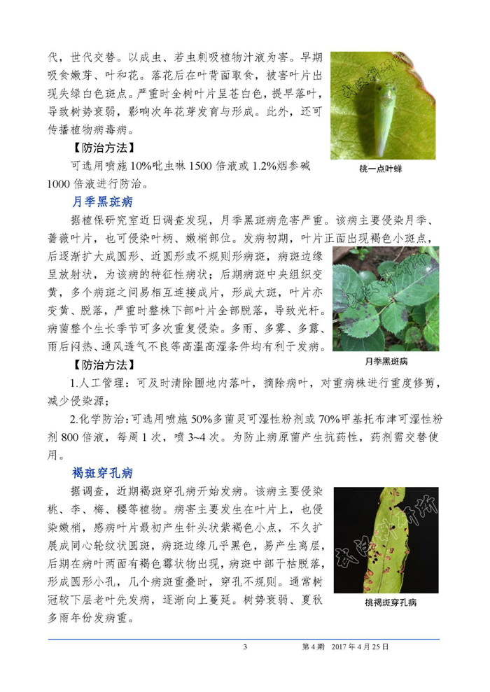 武汉市园林科研所植保信息2017第4期