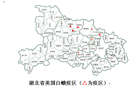 美国白蛾入侵来犯---科研院专题解答
