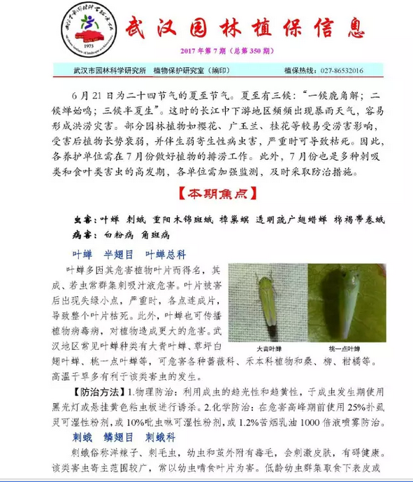 武汉市园林植保信息2017年第7期