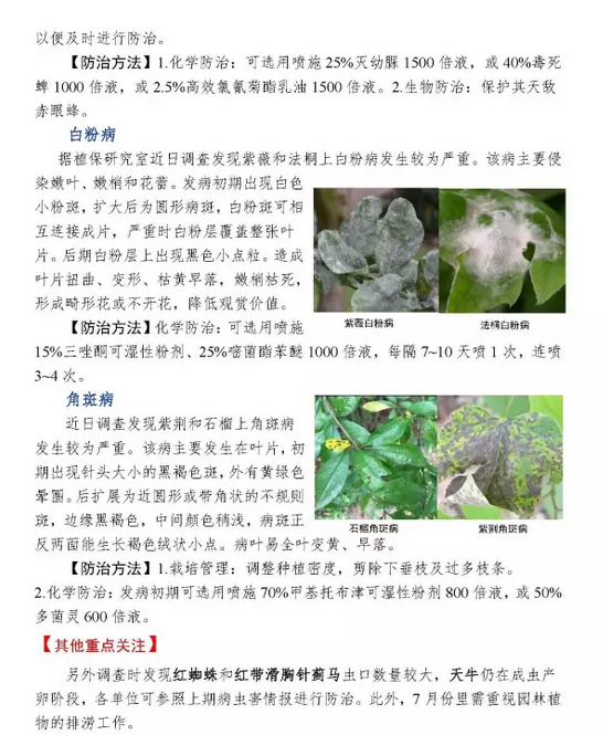 武汉市园林植保信息2017年第7期