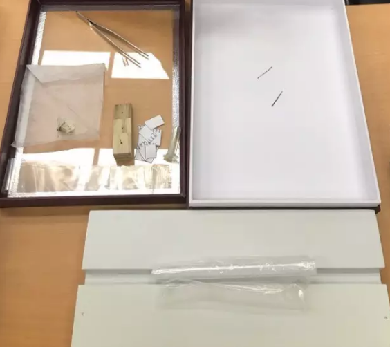 昆虫的世界你懂吗?