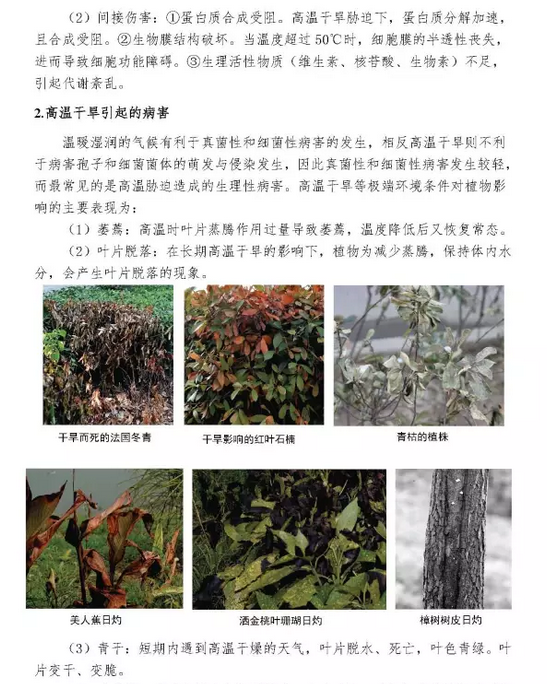 武汉市园林植保信息2017年第8期