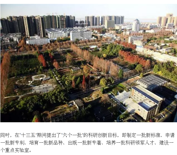 见证 参与 铭记 骄傲