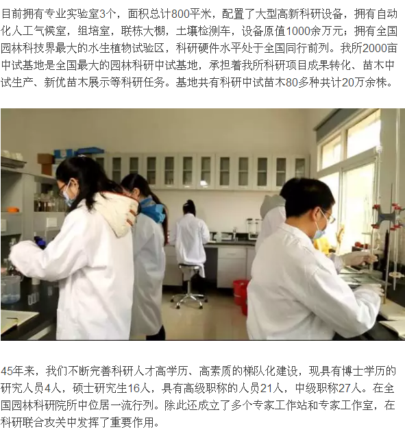 见证 参与 铭记 骄傲