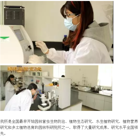 见证 参与 铭记 骄傲