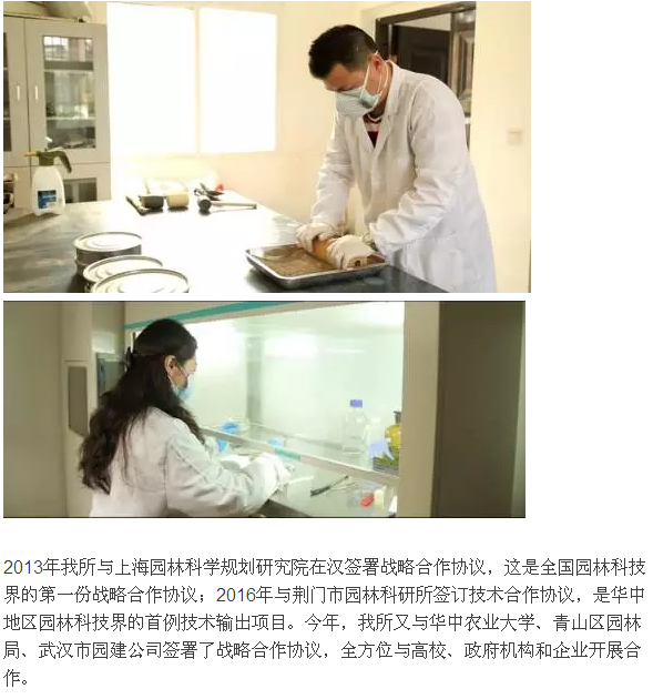 见证 参与 铭记 骄傲