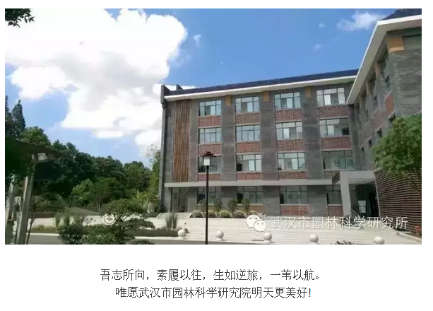见证 参与 铭记 骄傲