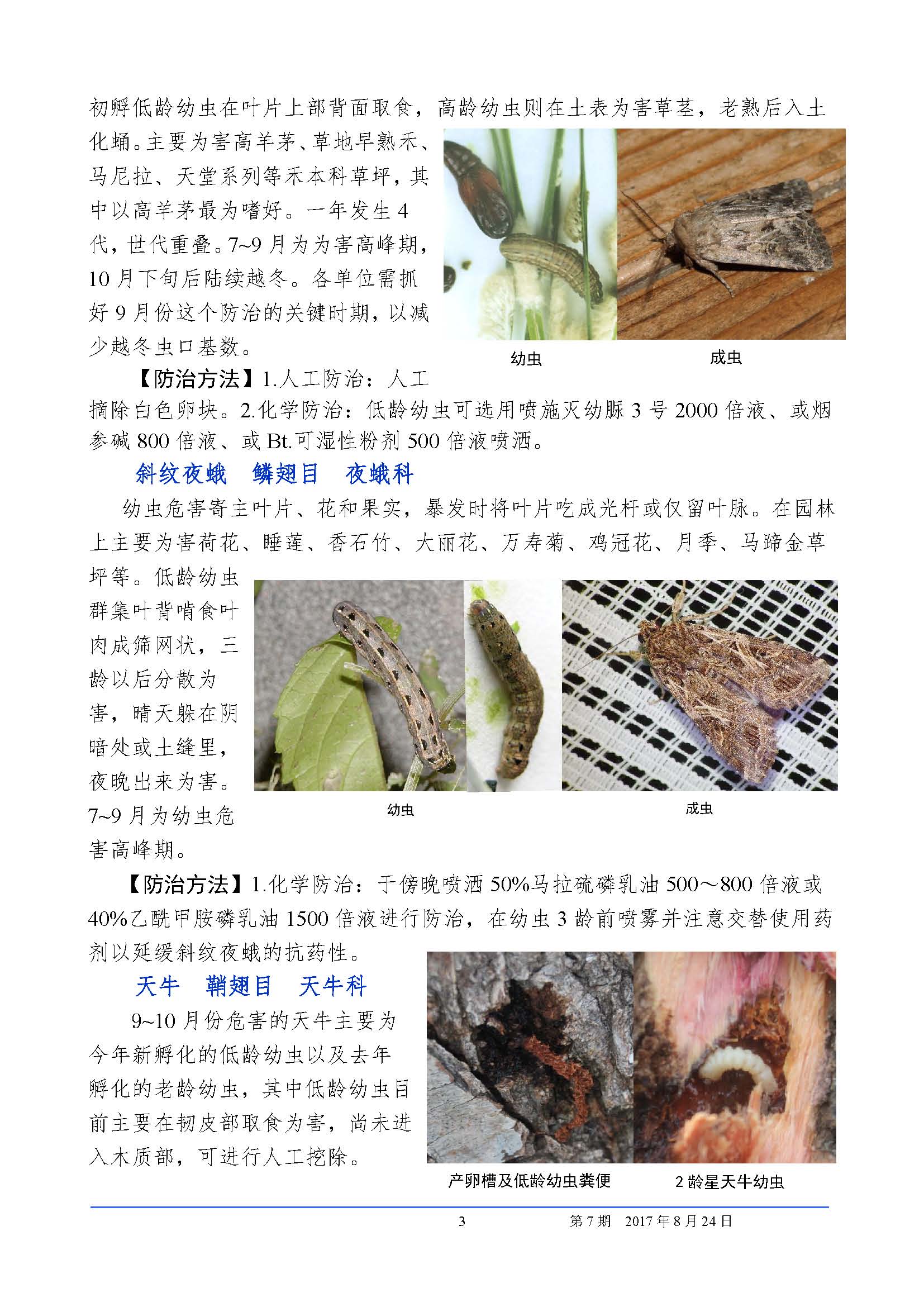 武汉市园林植保信息2017年第9期