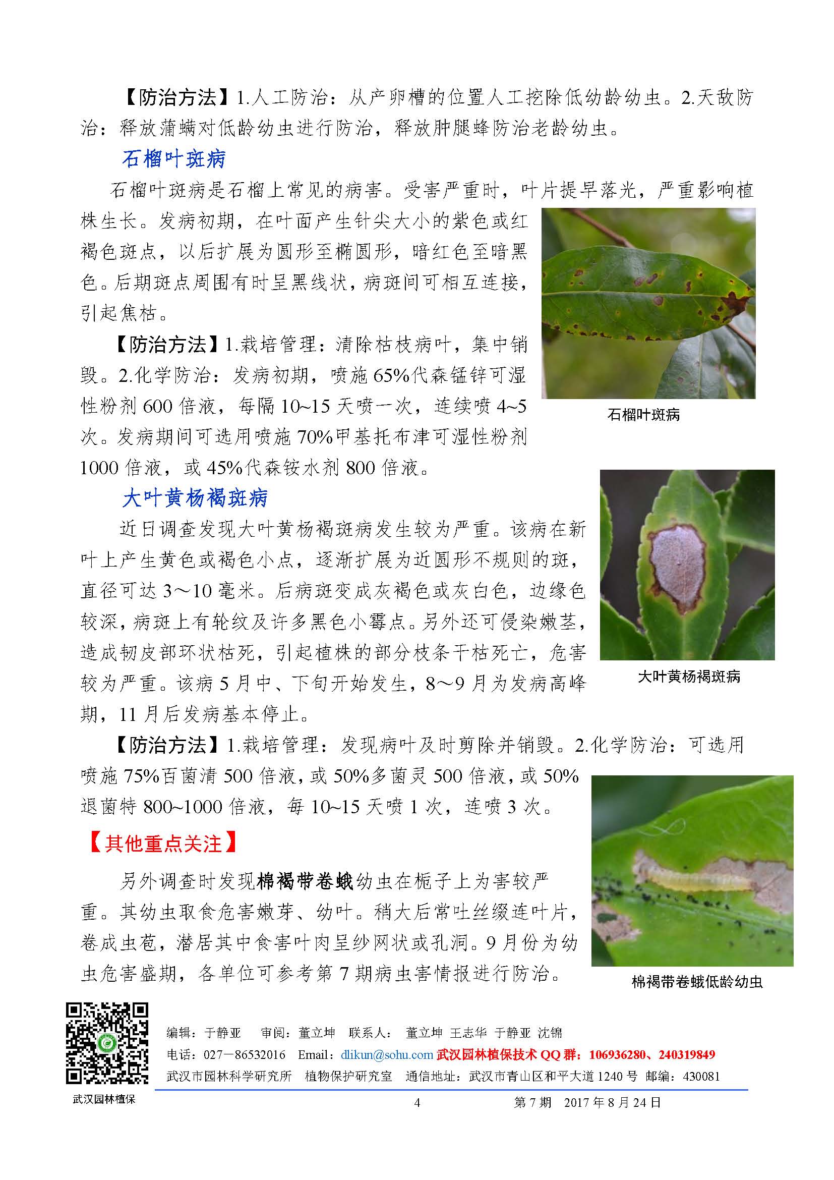 武汉市园林植保信息2017年第9期