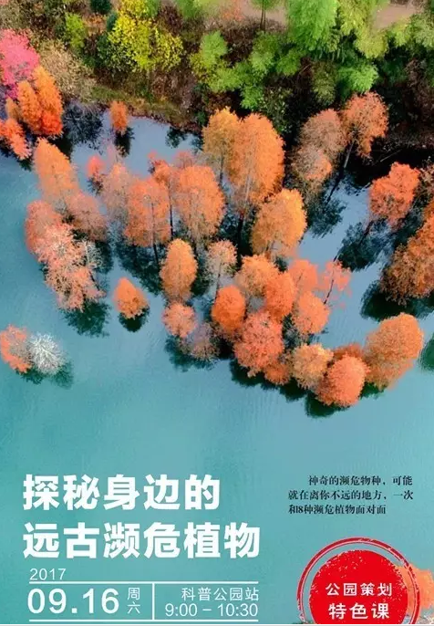 武汉这个公园偏藏奇花异草，周末带你探访这群植物界的远古来客！