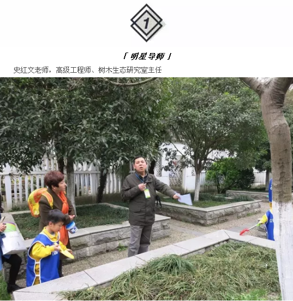 武汉这个公园偏藏奇花异草，周末带你探访这群植物界的远古来客！