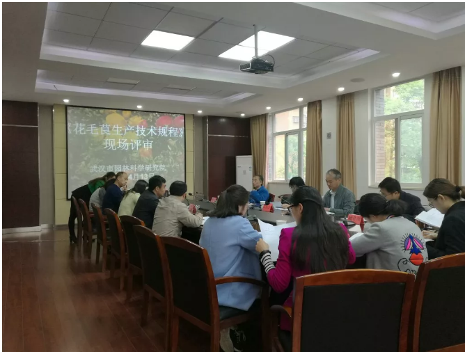 突破!武汉市园林科学研究院两项市级地方标准通过专家评审