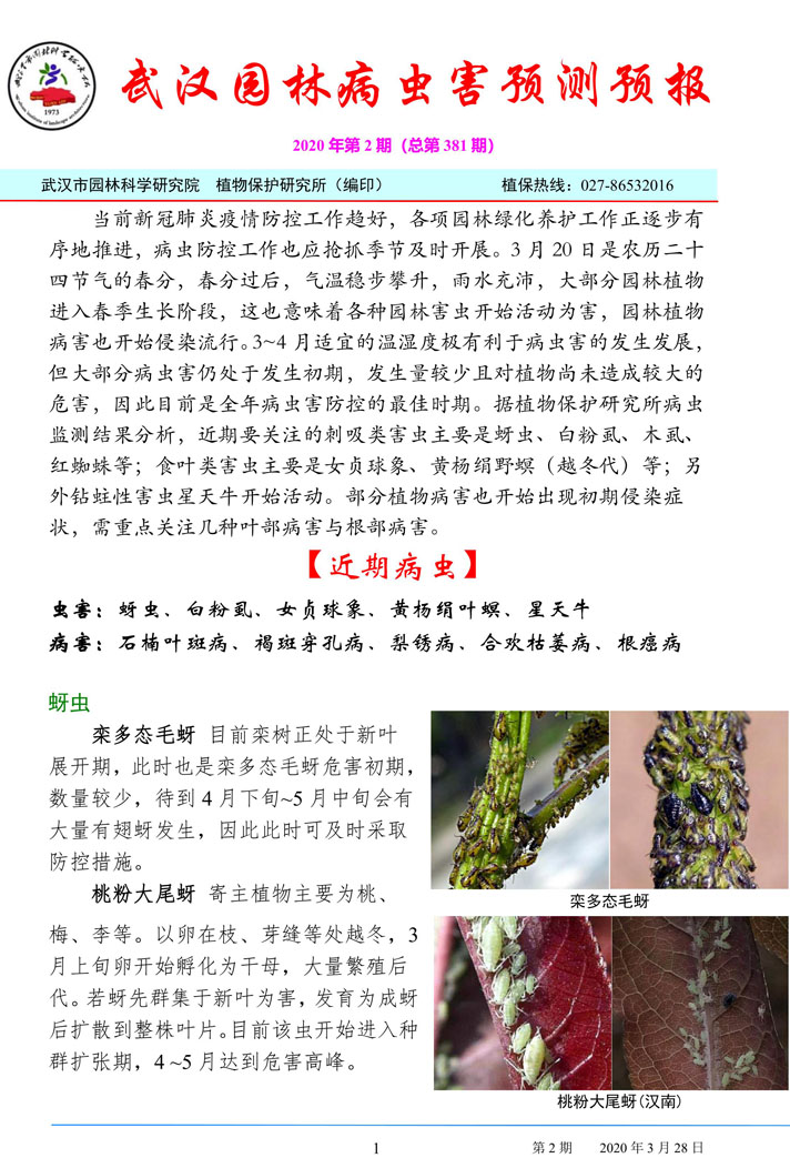 武汉园林病虫害预测预报 2020年第2期