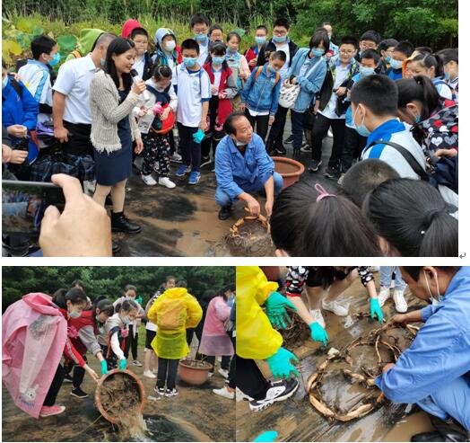“探秘――《爱莲说》里藏有多少个荷花之谜”――记2020全国科普日武汉市园林科学研究院 市民园林学?？破展婊疃? onmousewheel=