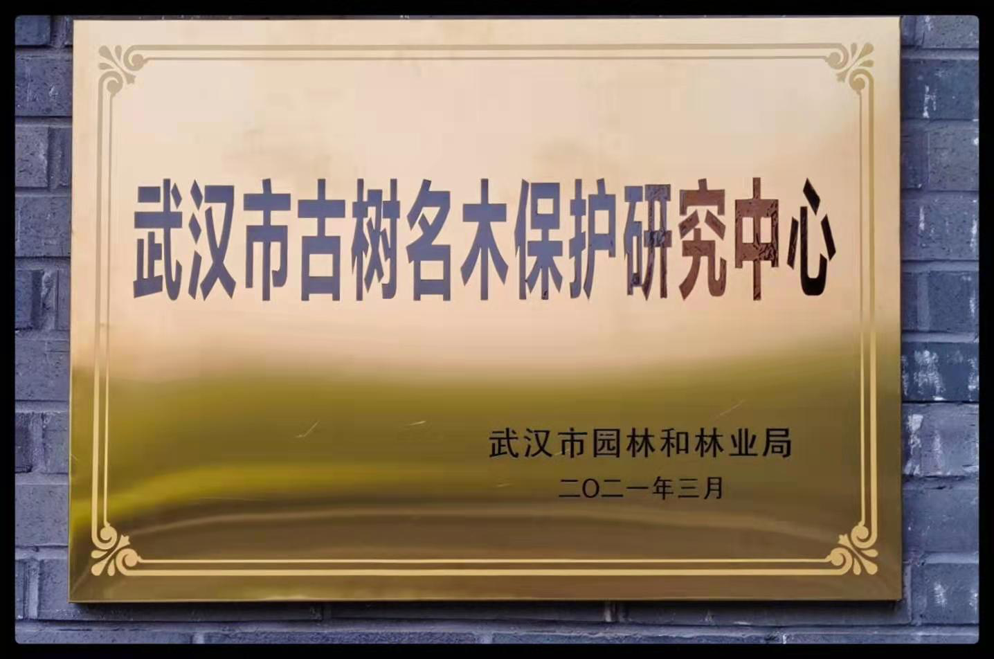 市园科院成立武汉市古树名木?；ぱ芯恐行? onmousewheel=