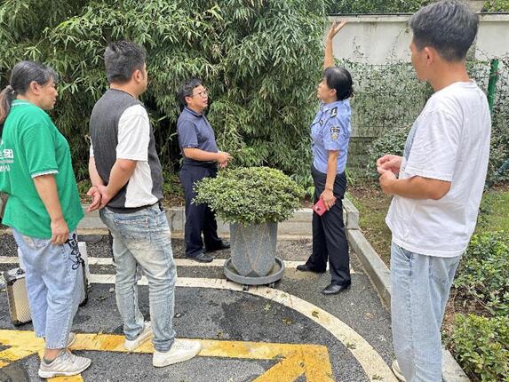 植物医生“把脉会诊”，盆栽杜鹃有望新生