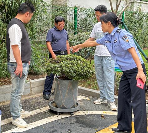 植物医生“把脉会诊”，盆栽杜鹃有望新生