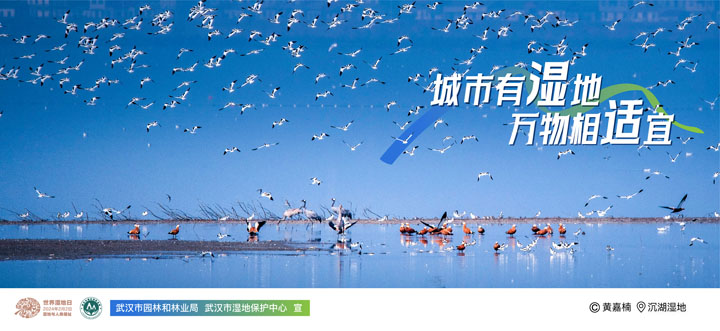 2024世界湿地日