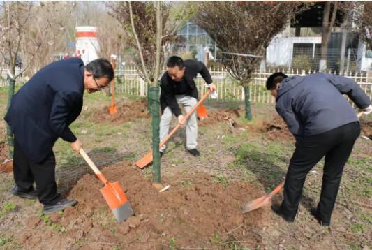 青山区人大代表来市园科院考察调研