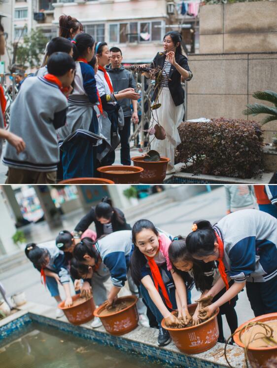 认识睡莲，种下春天