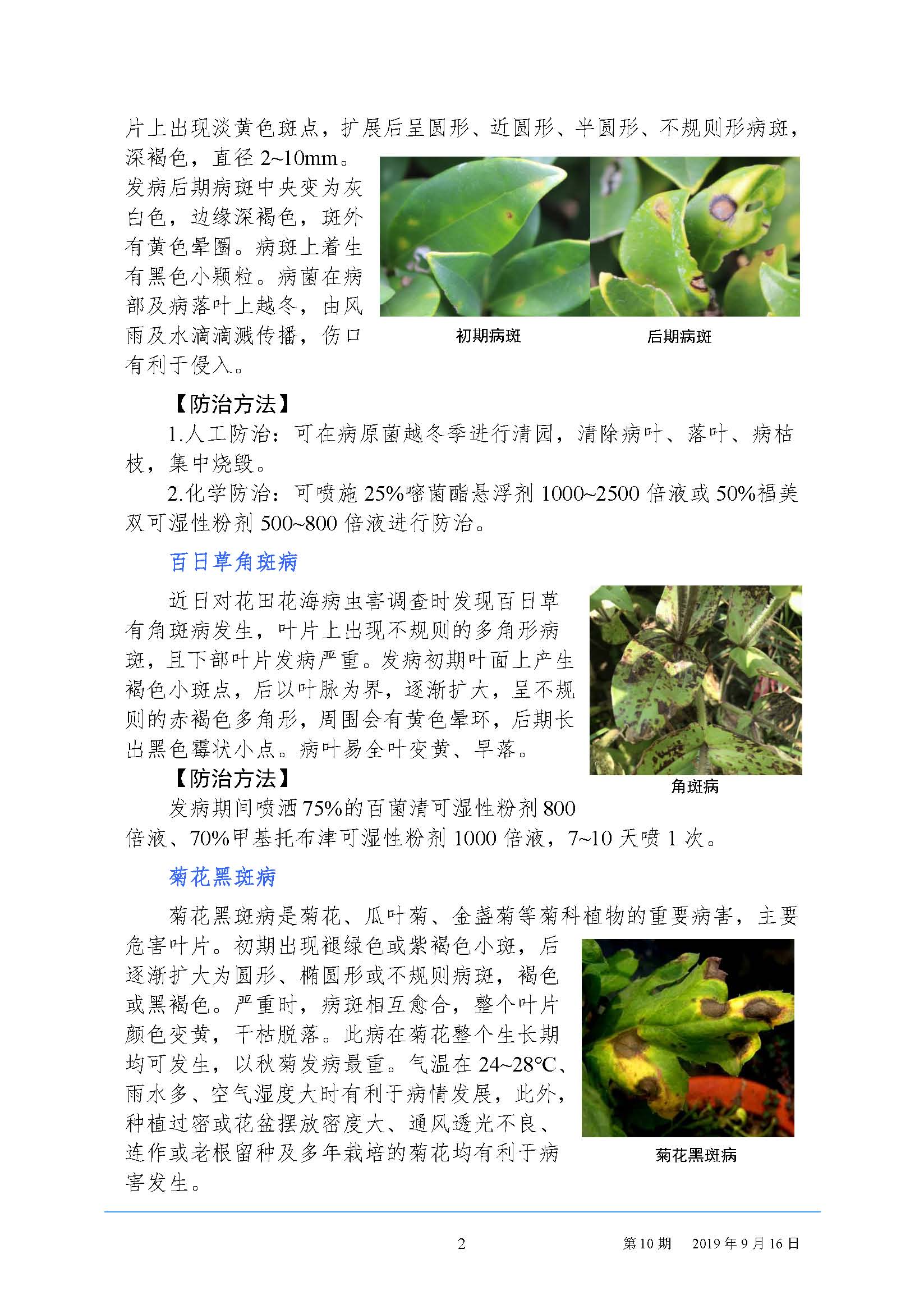 武汉园林病虫害预测预报 2019 年第10期
