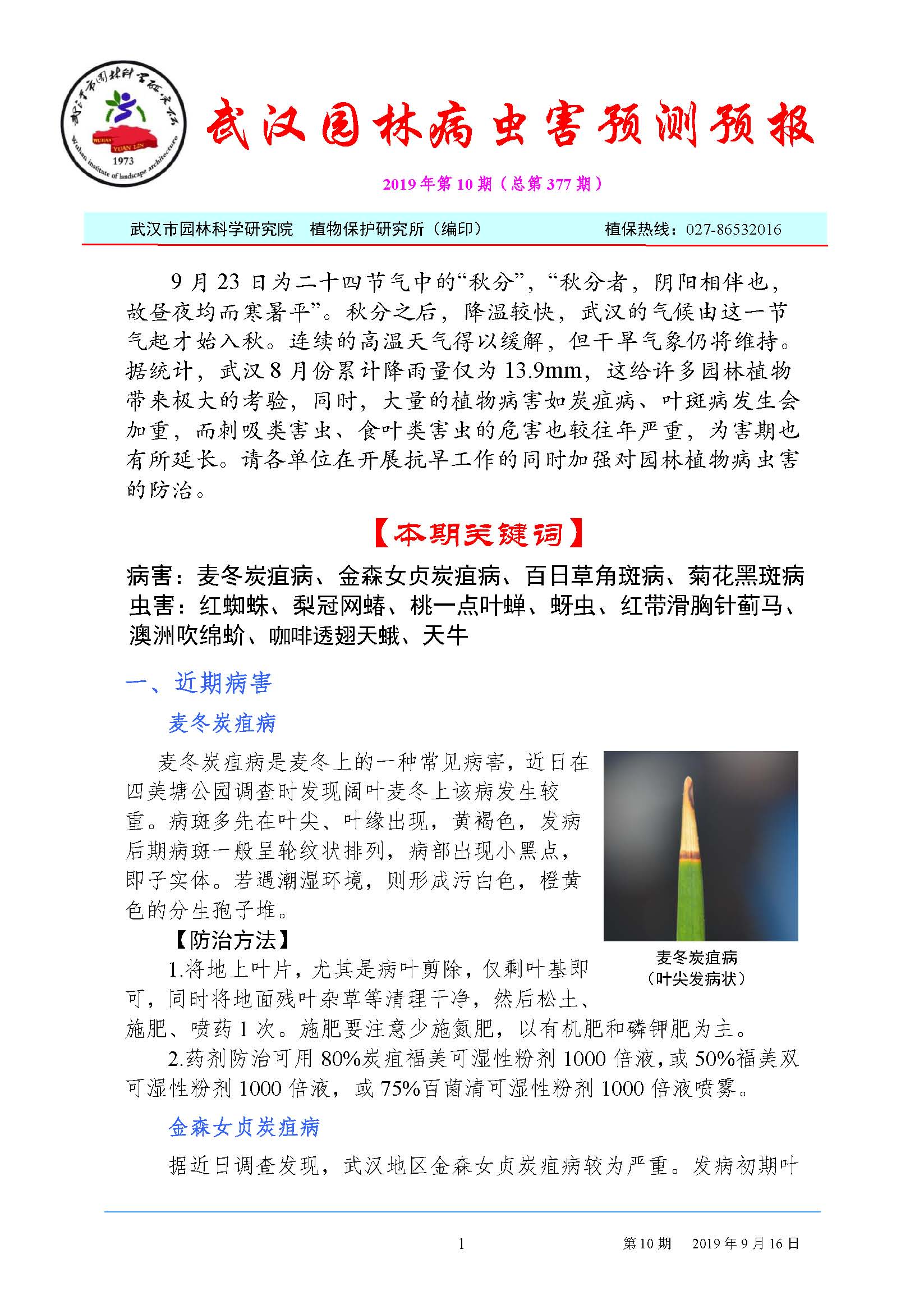 武汉园林病虫害预测预报 2019 年第10期