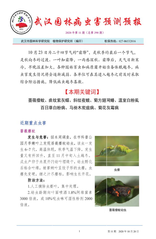 武汉园林病虫害预测预报 2020年第11期