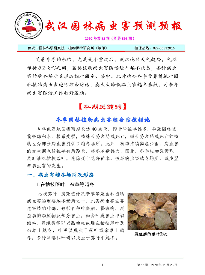 武汉园林病虫害预测预报 2020年第12期