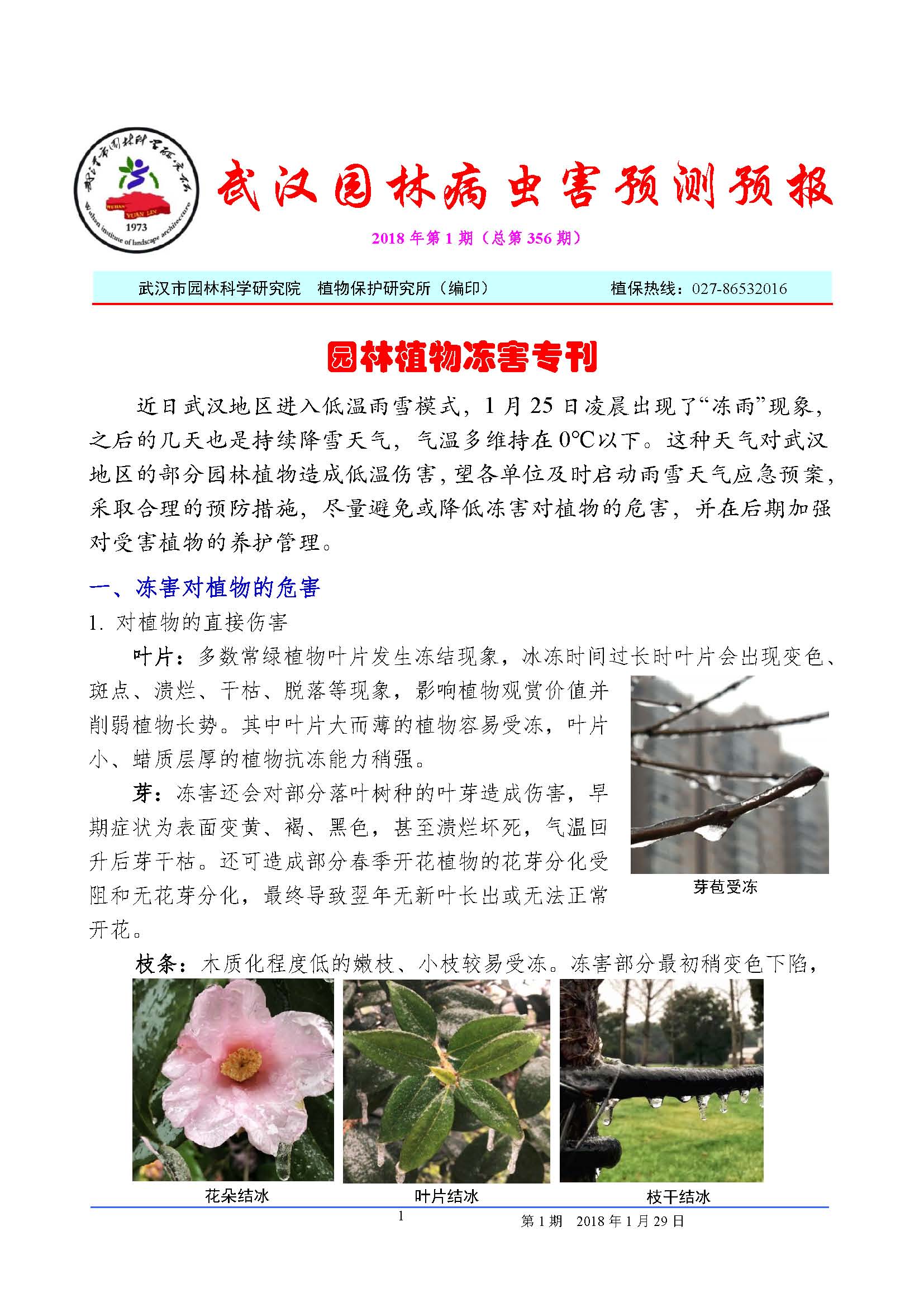 园林植物冻害专刊