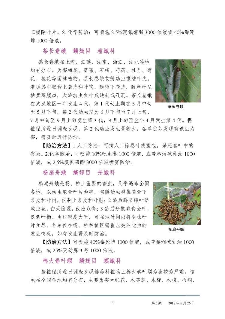武汉园林病虫害预测预防2018年第六期