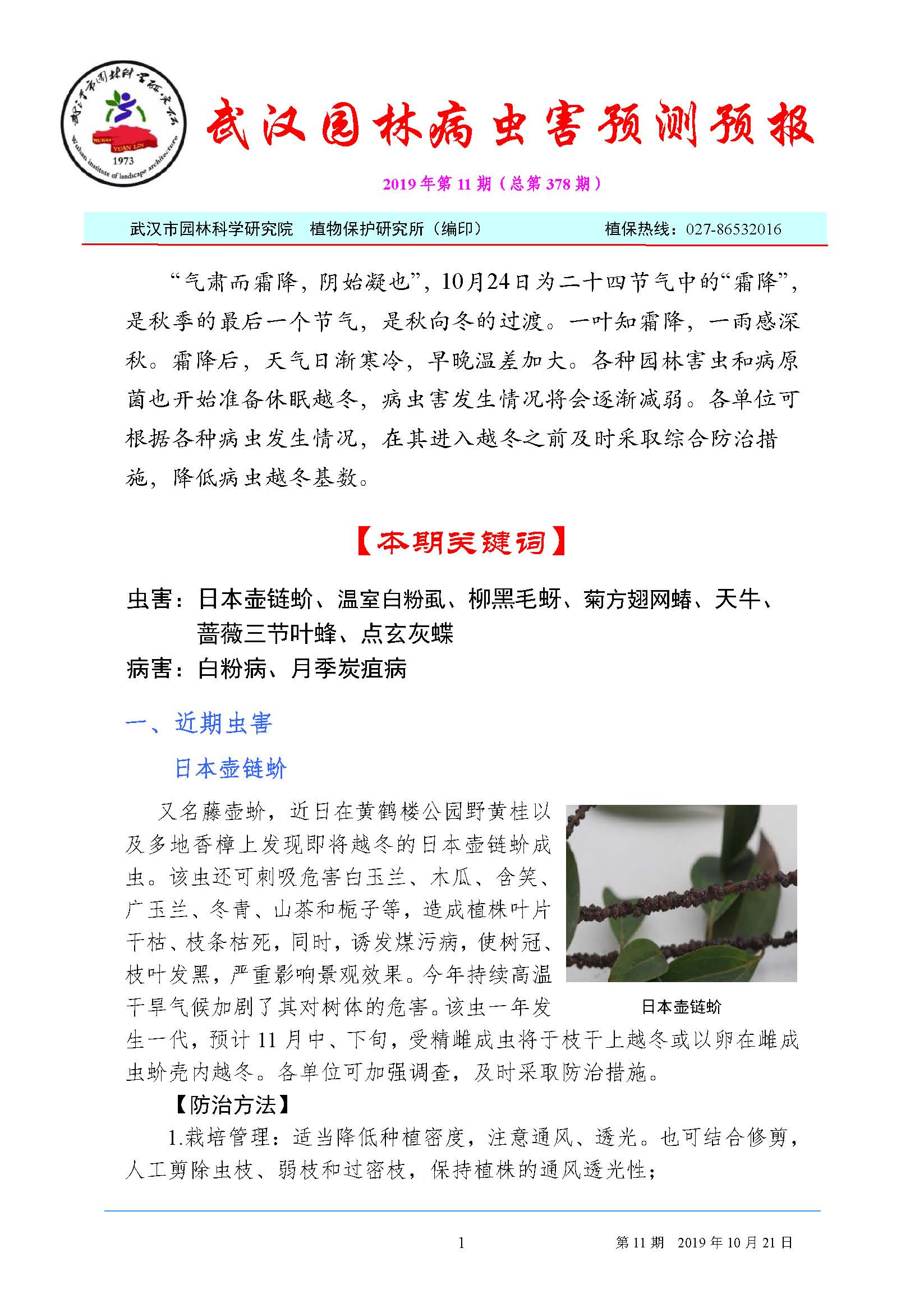 武汉园林病虫害预测预报 2019 年第11期
