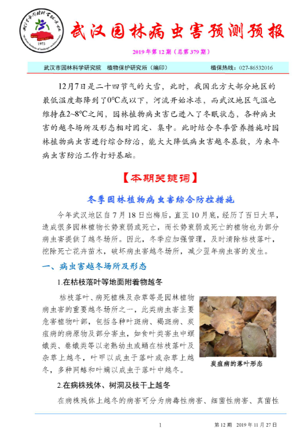武汉园林病虫害预测预报 2019 年第12期